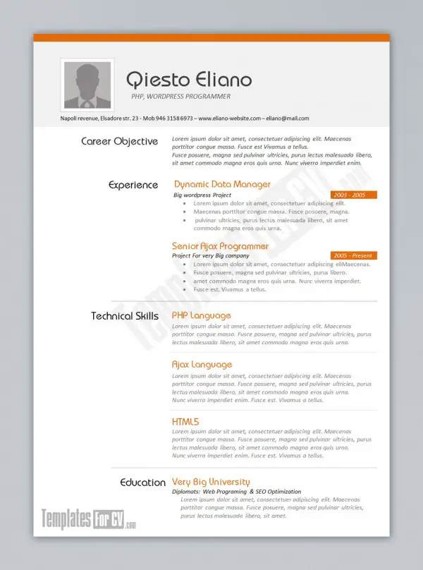 top 10 free resume templates for web designers