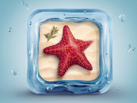 create-a-beautifully-designed-3d-starfish-icon