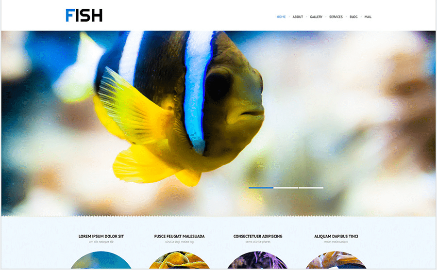 10-fish-wordpress-theme-images