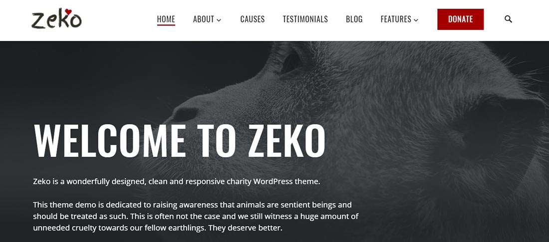 Zeko - Non Profit WordPress Theme