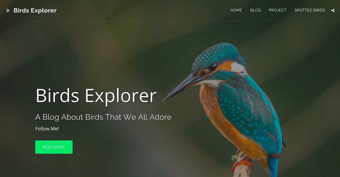 8 Birds Explorer