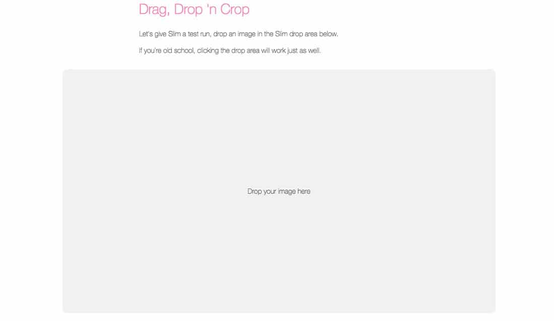 19 Slim Image Cropper for Gravity Forms, Photo Uploading and Cropping Plugin