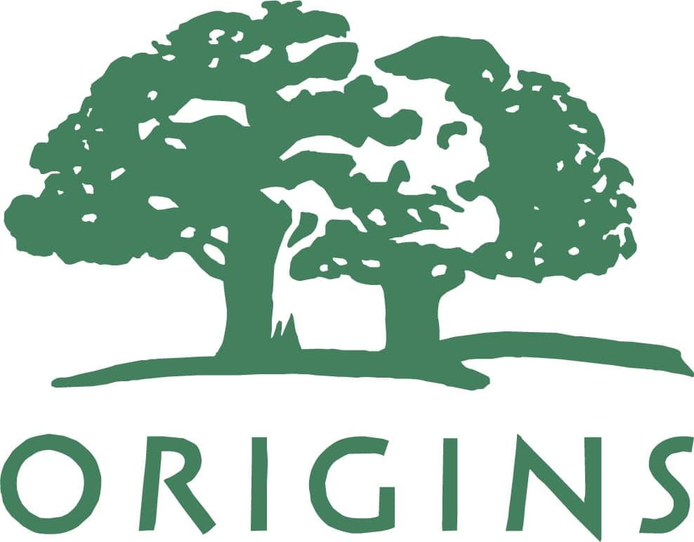 Understanding the Importance of Shapes in Logo Design - Origins logo