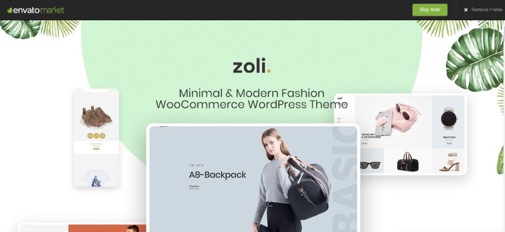 18 Best Minimalist WordPress Themes- Zoli