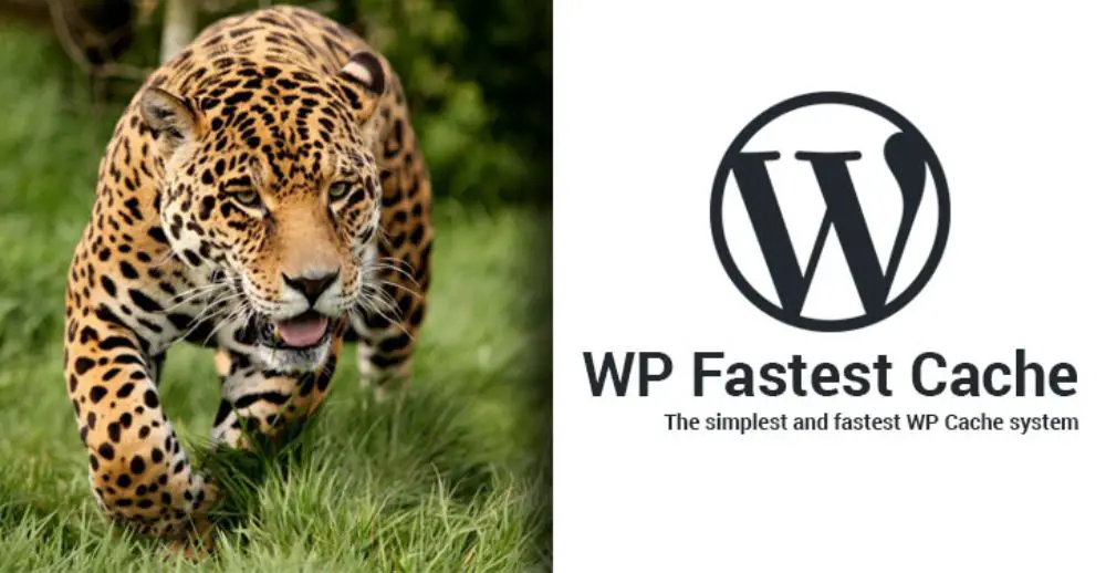 Wordpress Plugins - Fastest Cache