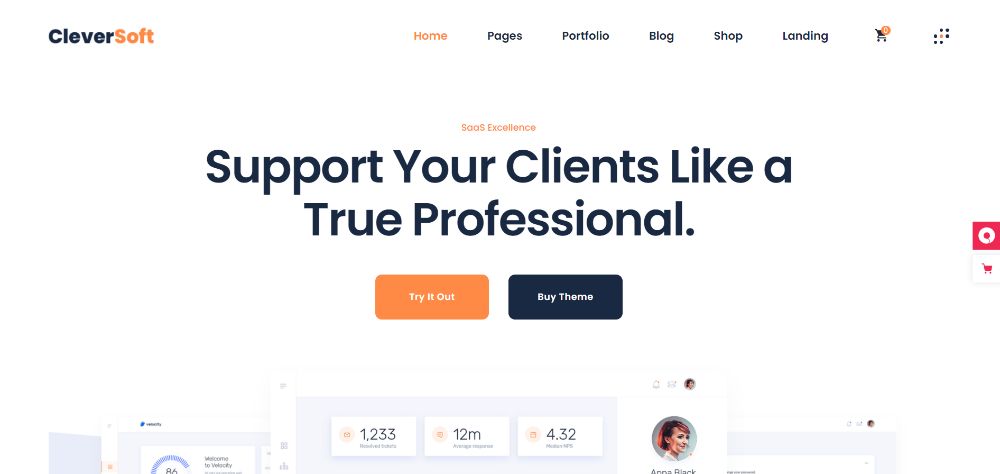 WordPress Themes for SAAS companies: CleverSoft
