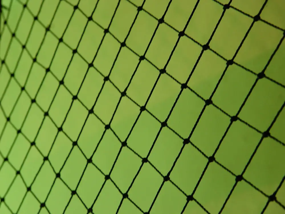 Amazing Free Monochromatic Images for Backgrounds: Fence in Green Background