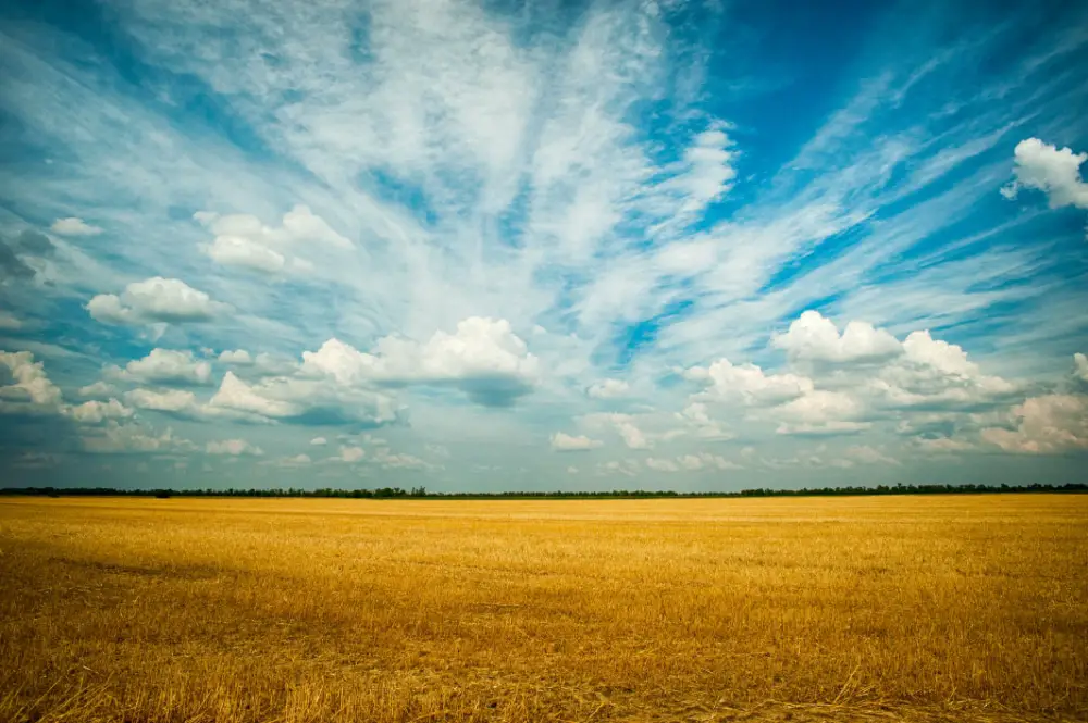 Free Amazing Sky Backgrounds for Designers: Sky Over Grass Field